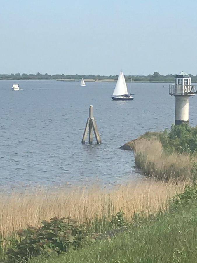 De Lauwersmeer Vogel Mit Eingezaeuntem Garten Anjum Екстер'єр фото